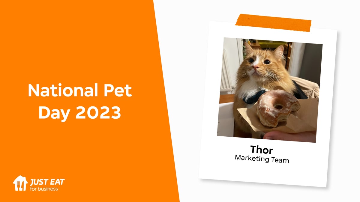 National Pet Day 2023 Just Eat for Business